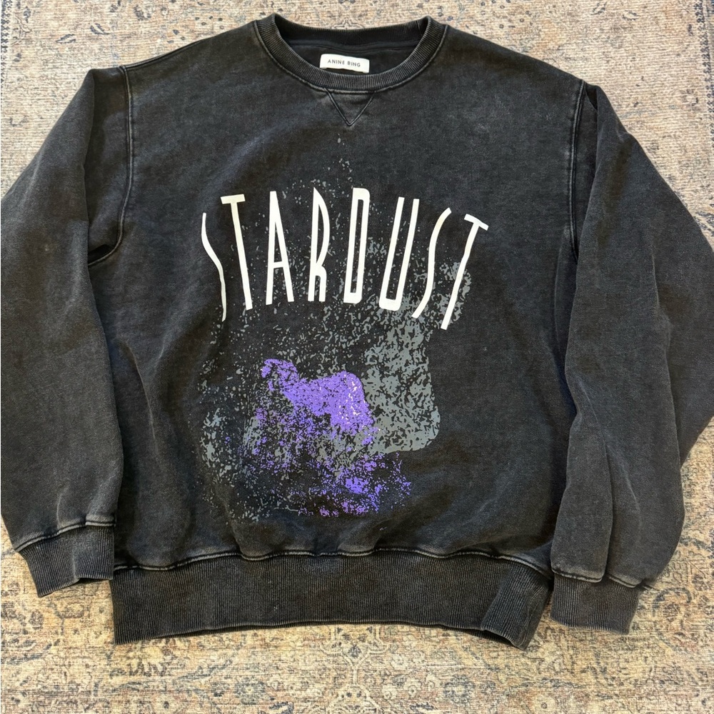 Anine Bing stardust sweatshirt EUC medium